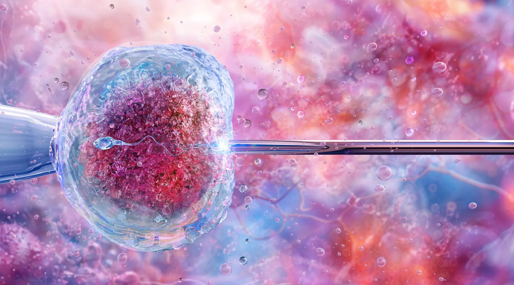 Clinical team reviewing data in an IVF laboratory